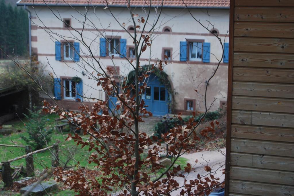 ホテル Auberge Du Ruxelier Cheniménil エクステリア 写真